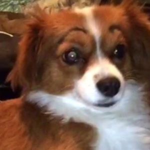 Meet your Posher, Mikaela